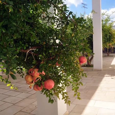 Corte Dei Melograni Otranto
